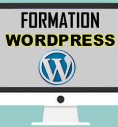 Formation wordpress au Cameroun, Yaoundé, Douala, Bafoussam, etc.