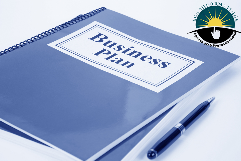 Business plan ecs informatique