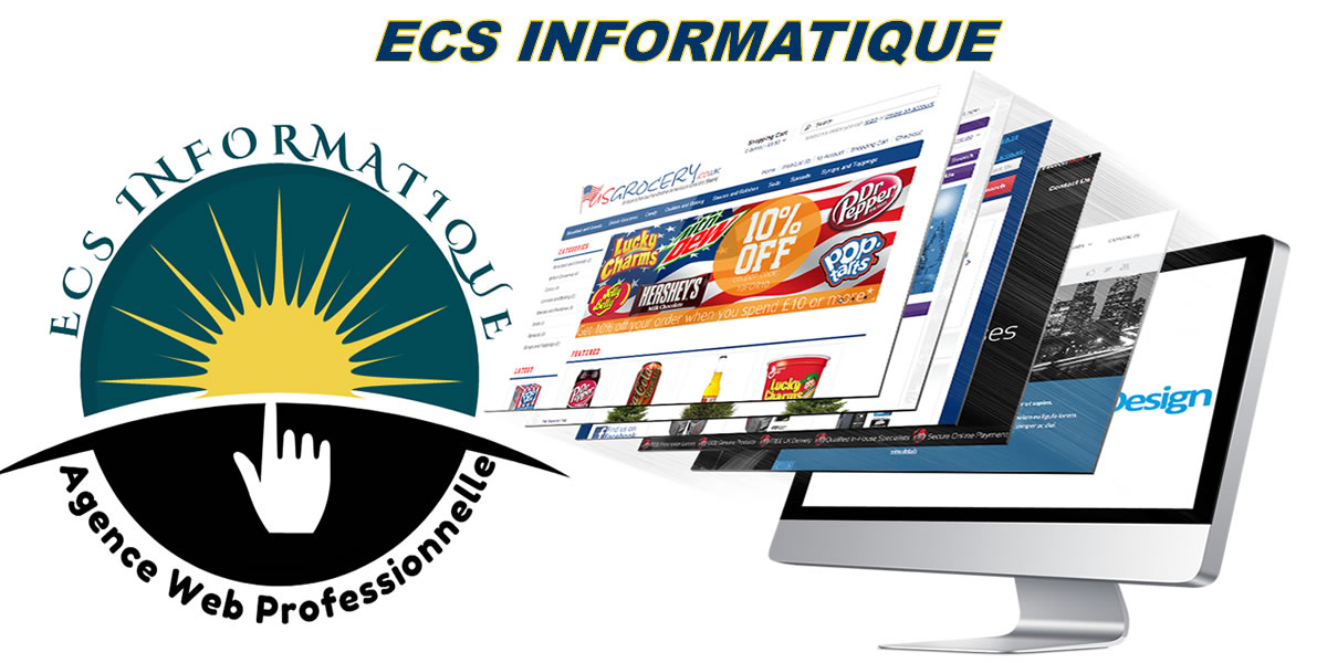 ECS INFORMATIQUE, Agence Web professionnelle